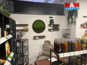 Pronájem obchodního prostoru, Hradec Králové - Třebeš, Ve Stromovce, 17 m2