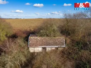 Prodej zahrady, Malé Žernoseky, 2620 m2