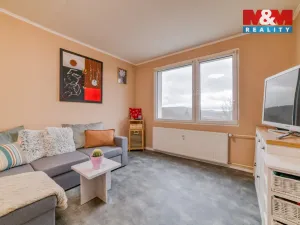 Prodej bytu 1+1, Planá, Fučíkova, 39 m2