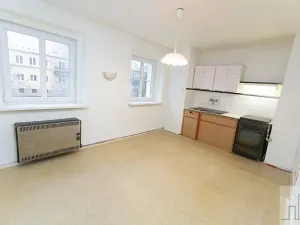 Prodej bytu 4+1, Litvínov, Jedličkova, 91 m2