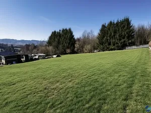 Prodej pozemku pro bydlení, Rybník, 868 m2