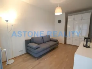 Pronájem bytu 4+kk, Praha - Žižkov, Olšanská, 110 m2