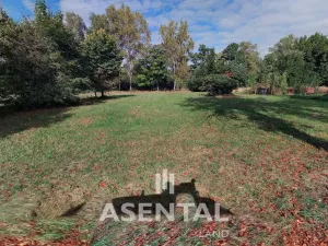 Prodej komerčního pozemku, Orlová - Město, Bezručova, 2499 m2