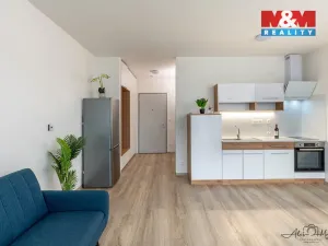 Prodej bytu 1+kk, České Budějovice - České Budějovice 6, Chelčického, 32 m2