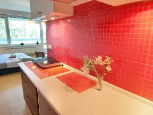 Pronájem bytu 1+kk, Brno, Šemberova, 51 m2