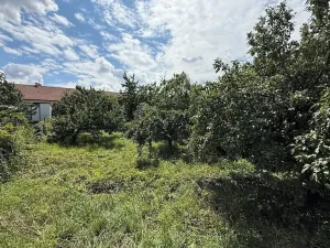 Prodej pozemku pro bydlení, Pasohlávky, 453 m2