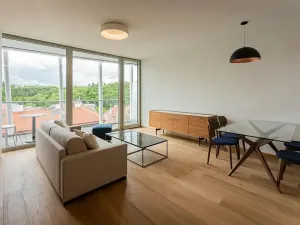 Pronájem bytu 2+kk, Praha - Smíchov, Holečkova, 71 m2