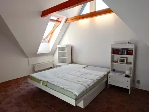 Prodej rodinného domu, České Budějovice, U Hřbitova, 230 m2