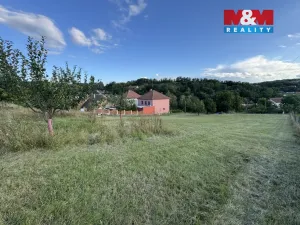 Prodej pozemku pro bydlení, Borkovany, 7835 m2