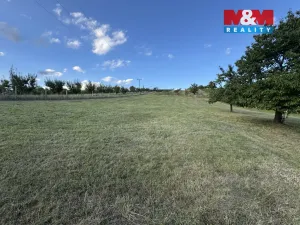 Prodej pozemku pro bydlení, Borkovany, 7835 m2