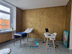 Pronájem ordinace, Teplice, Plynárenská, 90 m2