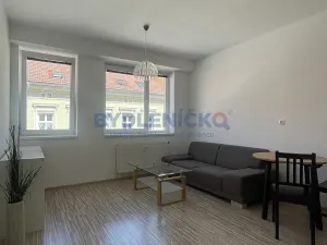 Pronájem bytu 2+kk, České Budějovice, B. Smetany, 40 m2