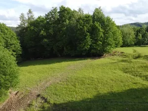 Dražba louky, Zábřeh, 2481 m2