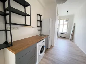 Pronájem bytu 1+1, Praha - Vinohrady, Korunní, 48 m2