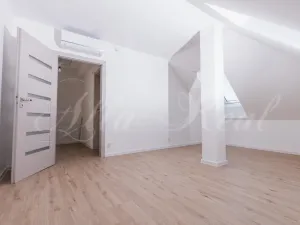 Prodej bytu 4+kk, Ostopovice, B. Němcové, 170 m2