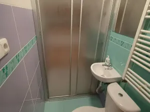 Prodej ubytování, Ostrov, Jáchymovská, 350 m2