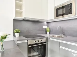 Pronájem bytu 1+kk, Olomouc, Věry Pánkové, 33 m2