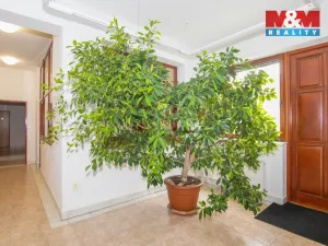 Prodej kanceláře, Letovice, Česká, 470 m2