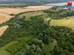 Prodej louky, Chabařovice - Roudníky, 46243 m2