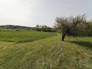 Prodej zemědělské usedlosti, Slabčice, 109 m2