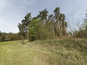 Prodej zemědělské usedlosti, Slabčice, 109 m2