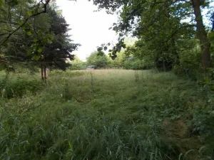 Prodej louky, Velký Šenov - Leopoldka, 3266 m2