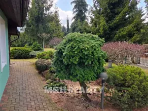 Prodej rodinného domu, Čeladná, 114 m2