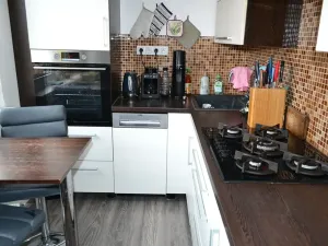 Prodej bytu 2+1, Cheb, V Zahradách, 56 m2