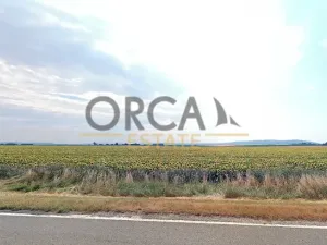 Prodej podílu pole, Holasice, 3024 m2