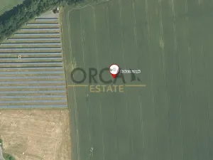 Prodej podílu pole, Hustopeče nad Bečvou, 1685 m2