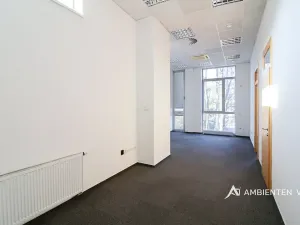 Pronájem kanceláře, Brno, 248 m2