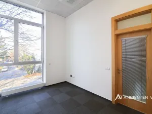 Pronájem kanceláře, Brno, 248 m2