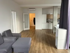 Pronájem bytu 2+kk, Praha - Karlín, Thámova, 95 m2