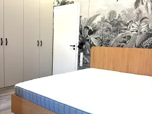 Pronájem bytu 2+kk, Praha - Žižkov, Blahníkova, 51 m2