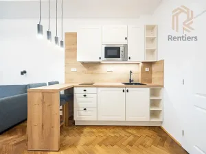 Pronájem bytu 1+kk, Praha - Střešovice, Myslbekova, 30 m2