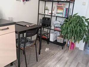 Pronájem bytu 1+1, Praha - Kobylisy, Bořanovická, 32 m2