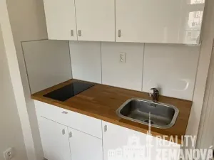 Pronájem bytu 1+1, Praha - Vinohrady, Řipská, 48 m2