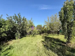 Pronájem zahrady, Olomouc - Droždín, Akátová, 1528 m2