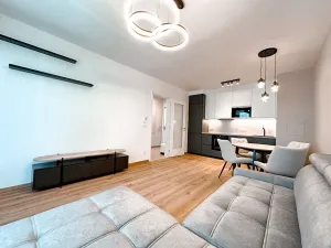 Pronájem bytu 2+kk, Praha - Žižkov, Olgy Havlové, 52 m2