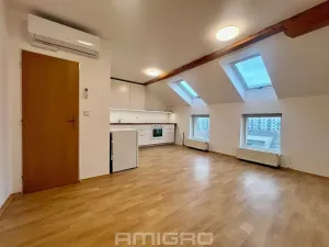 Pronájem bytu 2+kk, Brno, Reissigova, 47 m2