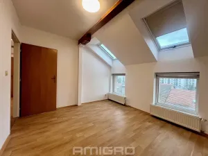 Pronájem bytu 2+kk, Brno, Reissigova, 47 m2