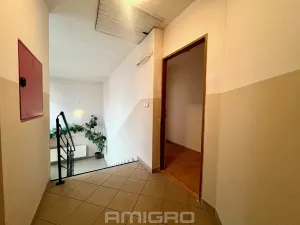 Pronájem bytu 2+kk, Brno, Reissigova, 47 m2