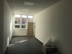Pronájem obchodního prostoru, Litvínov, 90 m2