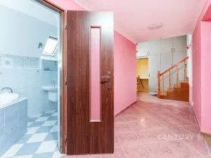 Prodej rodinného domu, Droužkovice, J. Švermy, 229 m2