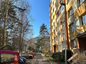 Pronájem bytu 1+1, Děčín, Na Pěšině, 36 m2