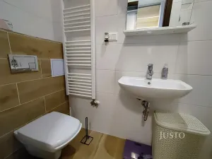 Pronájem bytu 1+kk, Písek, Pražská, 37 m2