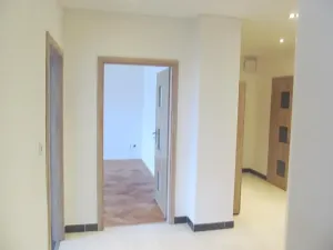 Pronájem bytu 3+kk, Praha - Žižkov, Hájkova, 80 m2