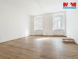 Prodej činžovního domu, Štětí, Mírové nám., 500 m2
