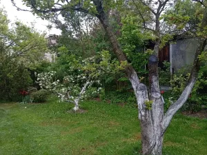 Dražba bytu 2+1, Opava, Mendlova, 109 m2