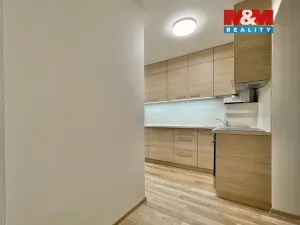 Prodej bytu 3+1, Ostrava - Mariánské Hory, Daliborova, 150 m2